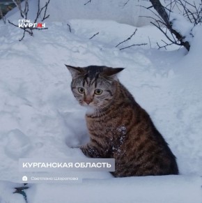 ������ ����, ���������!. ������� � ������� ����������� ����� ���������� � ������ 12�