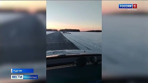 35 ����� �������� ����� ����������� �������� �� ���������� ������� ������� ���� �����