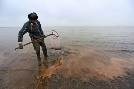 �������� �������� ������������ ������ ����������� ������� �� 500 ����� ������ �� ���������� ������ �������