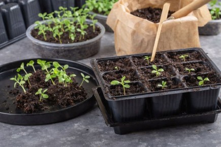 ������� ����� ���������� � ����������: ��� �� ��������� � ����� �� ��������