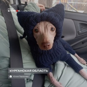 ������ ����, ���������! � ������� ����� ������!