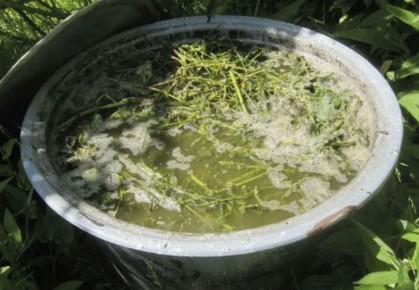 ��� ������� ����������� ���������: ������� ������������� �������� ����������