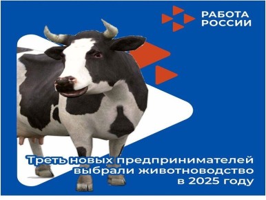 �������� ����� �������� ����� 33 ����������� ��������� ������ ���� ������