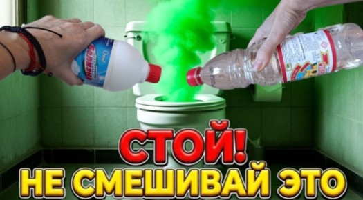 ������� ����������: ��� ������� ����� ����� �������� ������ ��������