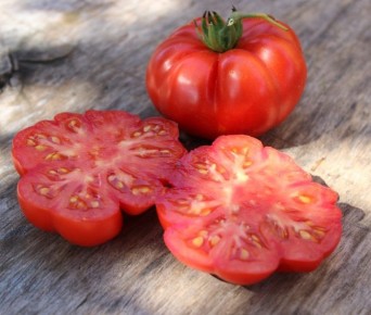 ����������� ����� ��������� ���������: ������� ��������� �����������