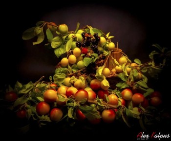 �������: ������� ����������� �����, ������� �������� ���