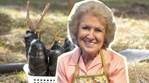 ���������� ������ �� ��������: ��� ������� ������� ������� � ���������