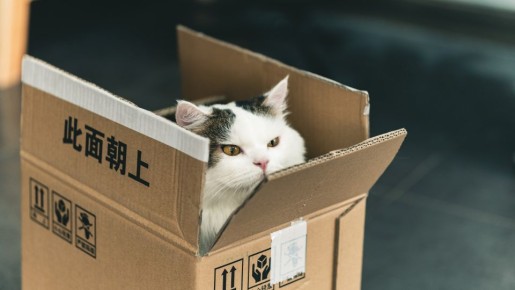 ��� ����� ������� ������� ��������� �����������: ��� ������� ���������� � ����