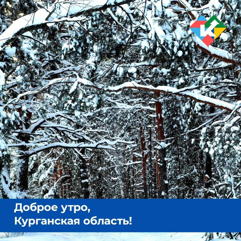 ������ ����, ���������� �������!