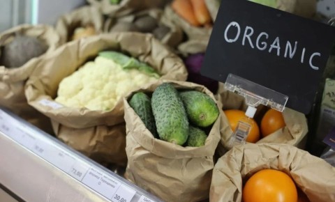 ������������ ��������: ����� �� �� ���� ����� ��������?