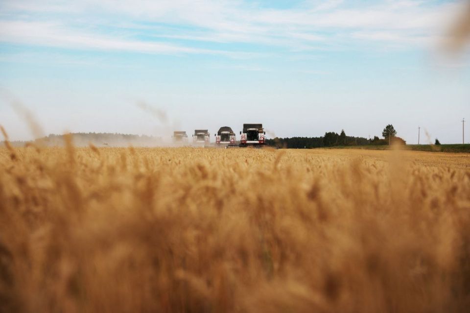 � ���������� ������� ������� ���� �� ������������ ��ʻ