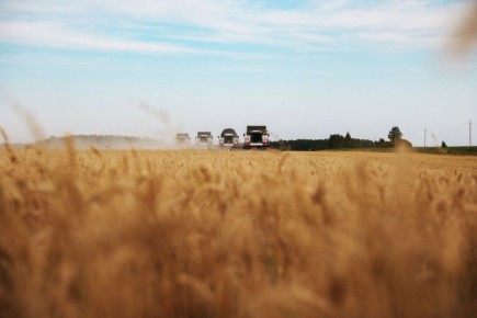 � ���������� ������� ������� ���� �� ������������ ��ʻ