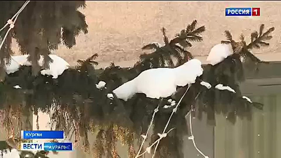 ���������� ���� ����� ��������