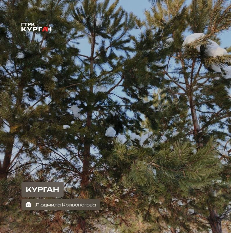 ������ ����, ���������!. ���� � ������� ����� ���������