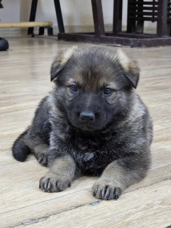 � ����� 2026 ���� � ������ �������������� ������ ���� ������ �� ���������� ������� ��������� ��������� �������: ��������� ������ �� ������ ���� ��� ���� �������� ����� ����� �����, ������� ����� ���� �������������� ������...