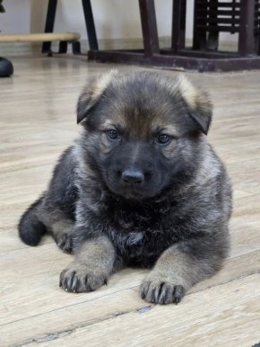 � ����� 2026 ���� � ������ �������������� ������ ���� ������ �� ���������� ������� ��������� ��������� �������: ��������� ������ �� ������ ���� ��� ���� �������� ����� ����� �����, ������� ����� ���� �������������� ������...