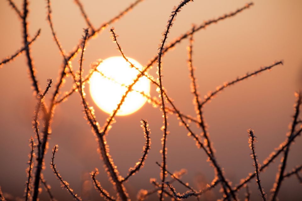 �������� ���������� ������� ��������� ������ ������������� � ��������� ����