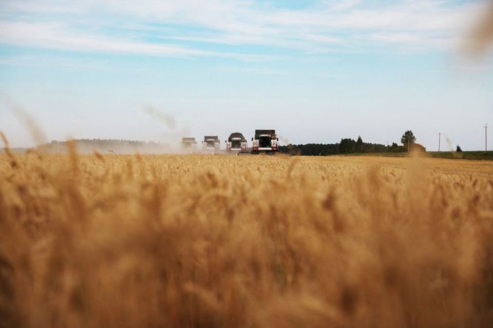 � ���������� ������� ����������� ��� �� ����� ��������� ����������������� ���������