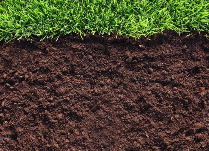 ��� ����������� ��� � �������� ������: ������� ��������� ����� �� ������ � ������