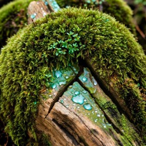 ��� ��� ������ ��� ���������������