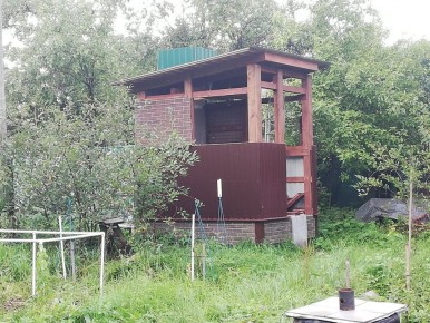 Трансформация яблони в идеальную шашлычницу