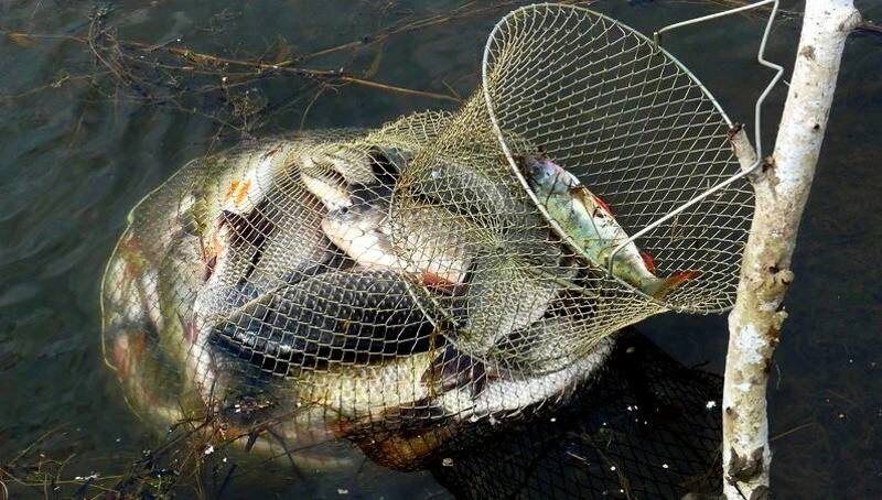 ������� ���������� ���� � ����� �����