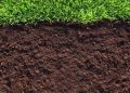 Как подготовить сад к будущему сезону: секреты успешного ухода за почвой в ноябре
