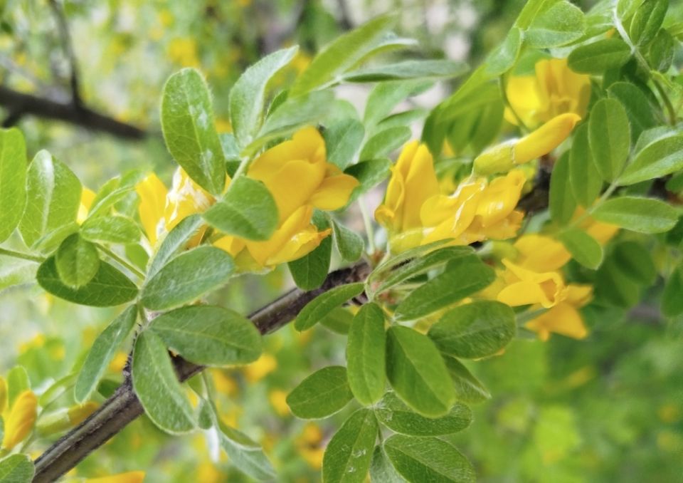 ������: �� � ���������, ������� ������ ��� ���