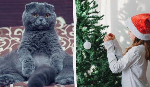 ��� ��������� �������������� ���� � �������: �������� ������ ��� ���������� �����