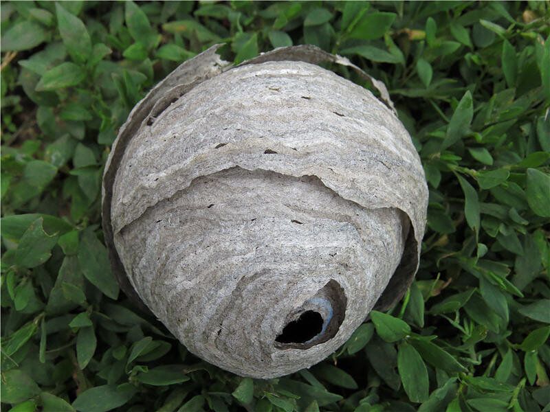 ������ � �����: ��� ���������� �� �����