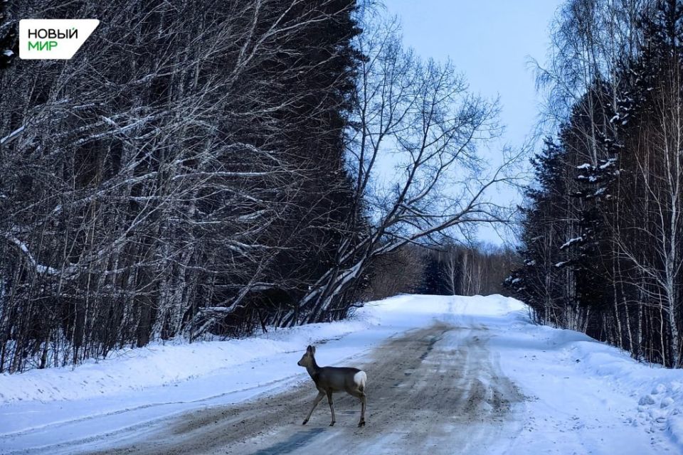 ���������������� ���������� ������� ������������� � ����� ����� ��� � �������� ����� ��������