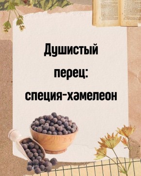 Душистый перец: непревзойденный аромат для гурманов