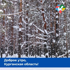 ������ ����, ���������� �������!