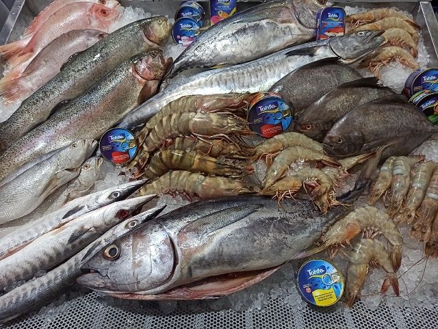 ���� ���� �� 2026: ������ +8,7%, ������ +54% � ����������� ����� ��� ������