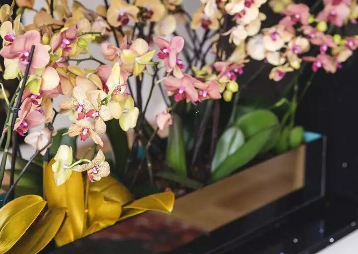 ������� ������ � �������: �������� ������� � �������� ����������