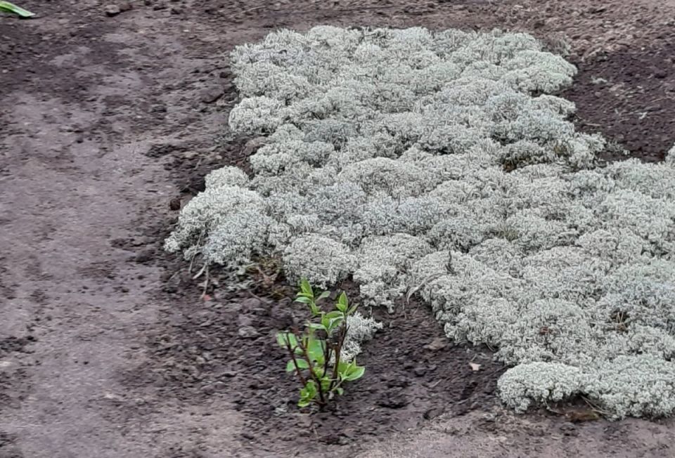 ������������ ���� � ����� ����: ��������� ������