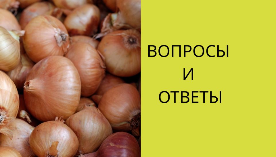 ��� �������� ������������ ����: ������ � ������������