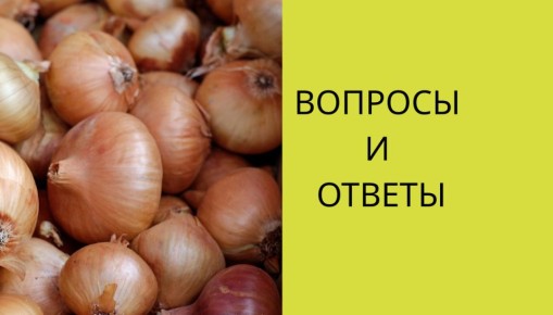 ��� �������� ������������ ����: ������ � ������������