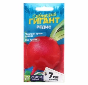 Сибирский гигант: как редис стал настоящим открытием этого сезона