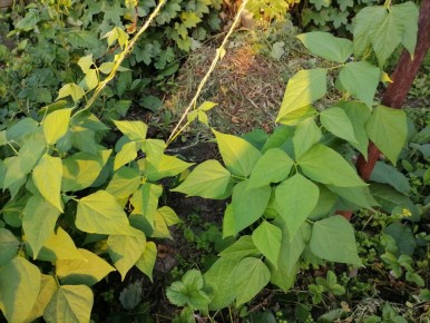 �������� �� ��������: ��� ���������� ������������ ������� � ��� �����