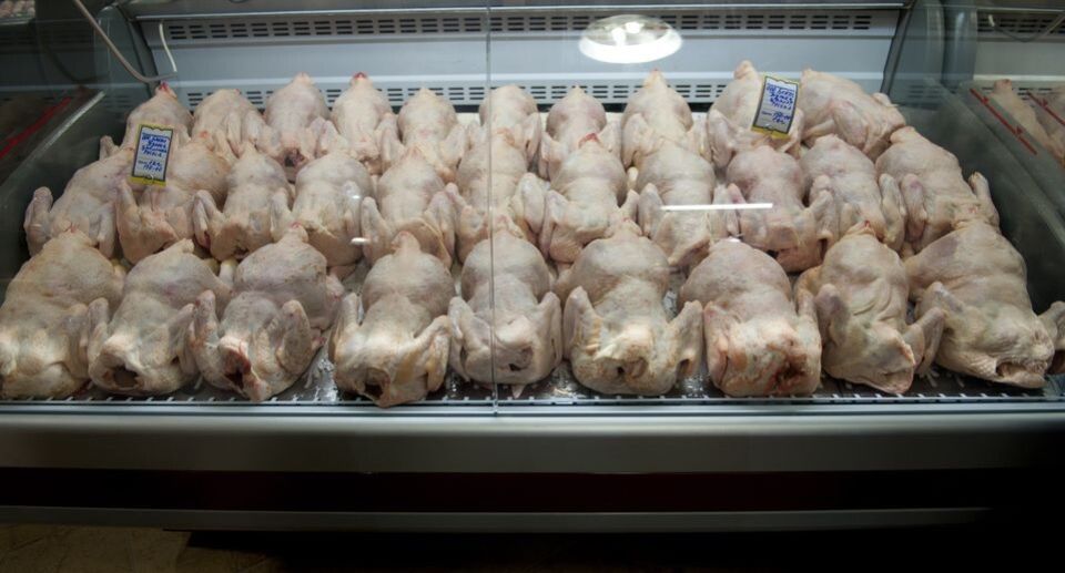 ��� ���������� ��������� ������������ ���� � ��������? �������, � ������� ��� �� ������������!