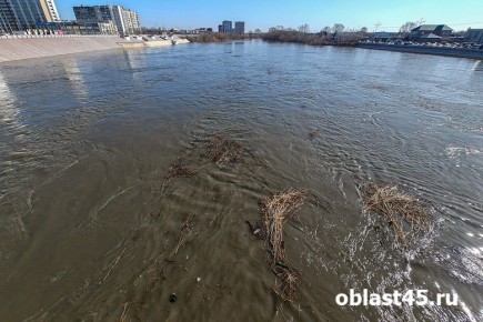 ��� ����������� ������������� ����� �������� �� ������� � ���������� �������