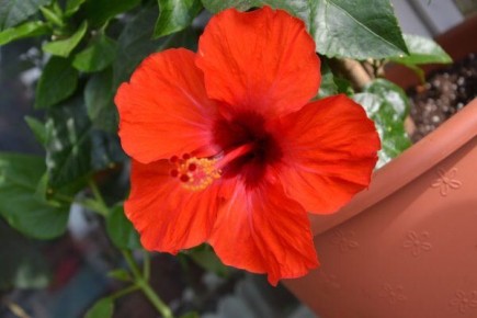 �������� � �������� ��������: ��� ��������� �� ���������� �����