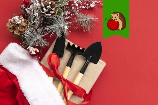 ������� ��������: 5 ����������� �������� �� ����� ���, � ������� �� �� ��������!