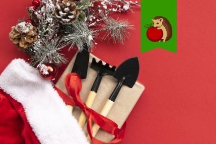 ������� ��������: 5 ����������� �������� �� ����� ���, � ������� �� �� ��������!