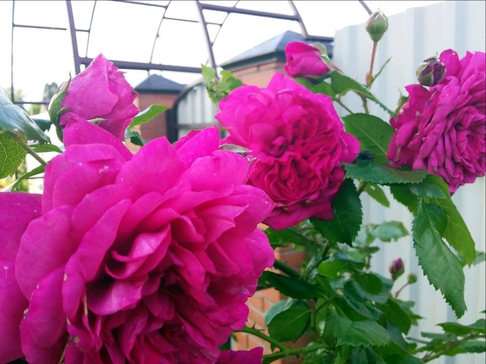 ����� � ������� ����: ����������� �������, � ������� ����� �����