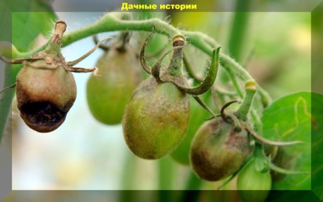 ��� �������� ������ �� ���������: �������� ������ ��� ���������