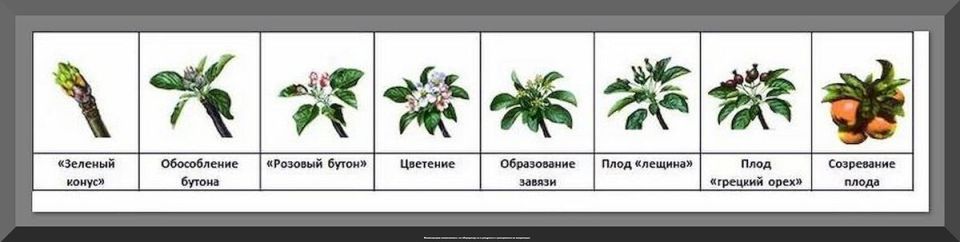 ��� ������� ��������� �������� ���: �������� ������ � ������ �� ���������� �������