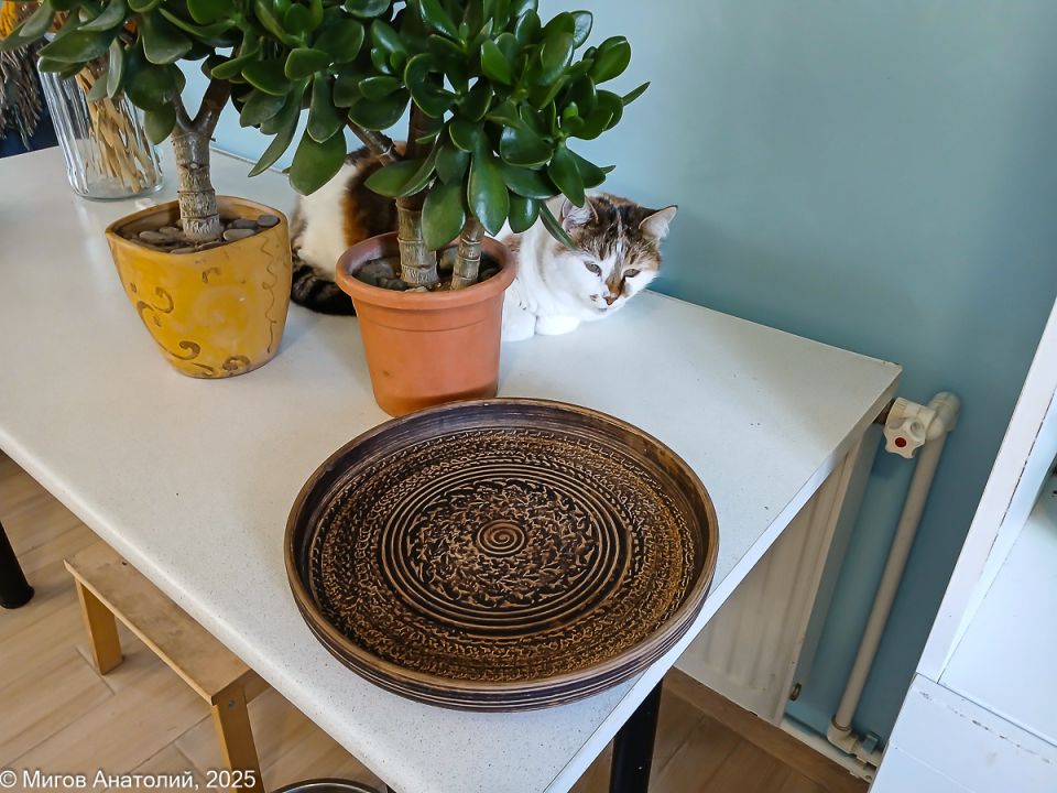 ���������� ������������� ��������: ��� ��������� �������� ������ �����