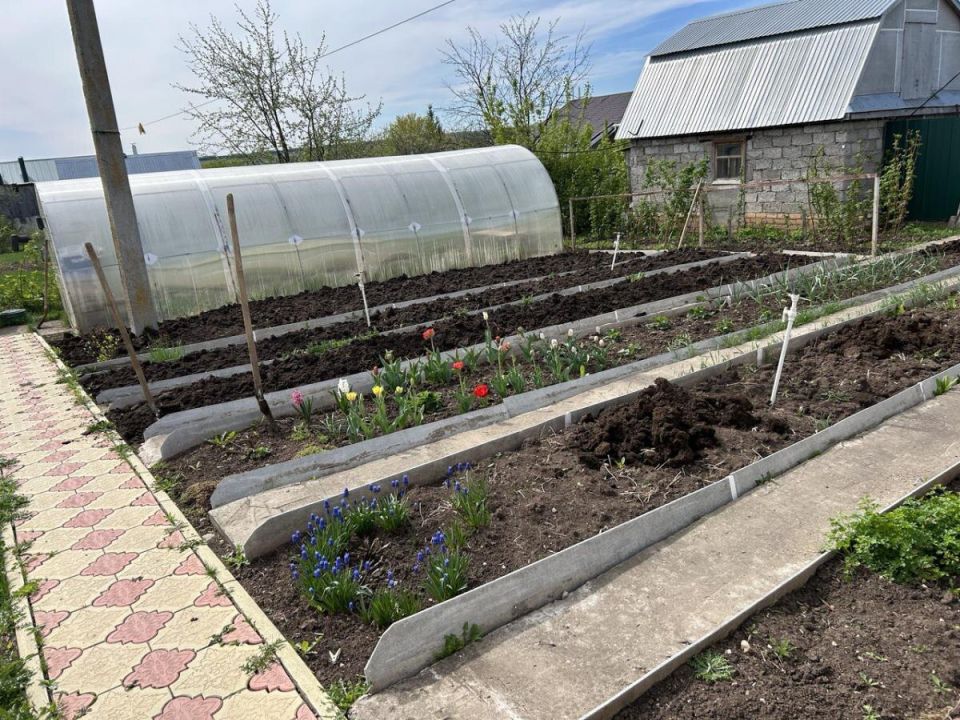 ��� ������� ��������� �������� ��� ������� ������: ������ � ������������